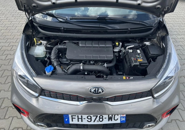 Kia Picanto cena 32900 przebieg: 36700, rok produkcji 2019 z Legionowo małe 277